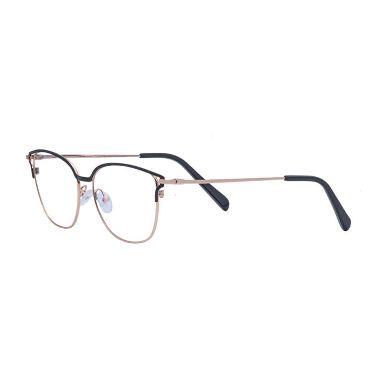 STELLAR Titanium Frames For Women