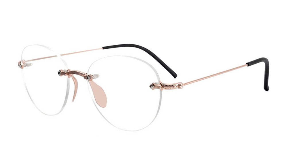 sigrid Titanium eyeglasses frames men's